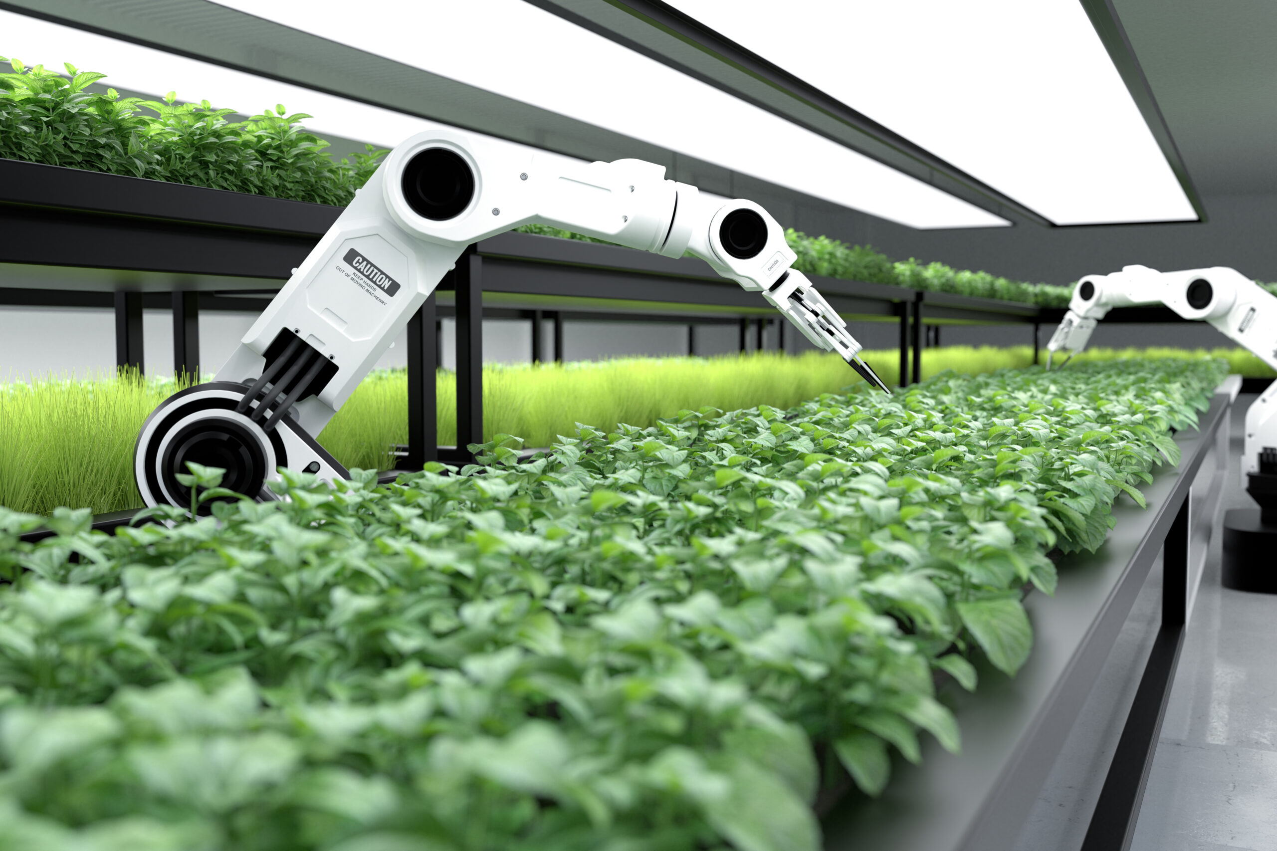 Smart robotic farmers concept, robot farmers, Agriculture technology, Farm automation. 3D illustration